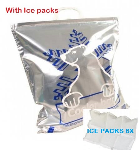 Cooler Bag / Thermo Bag (with ice packs)